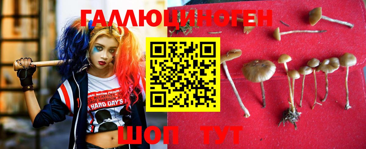 Псилоцибиновые грибы мухоморы Луховицы
